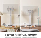 TV Floor Stand with Iron Base for 27-65