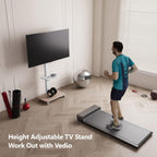 TV Stand on Wheels with 2 Shelves