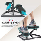 Twist Stair Stepper W Handlebar for Home Workouts