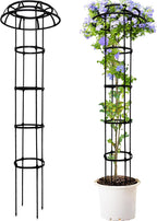 Umbrella Trellis Wisteria Support Frame Rustproof (2 Pack)