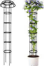 Umbrella Trellis Wisteria Support Frame Rustproof (2 Pack)