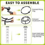 Umbrella Trellis Wisteria Support Frame Rustproof (2 Pack)