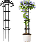 Umbrella Trellis Wisteria Support Frame Rustproof (2 Pack)