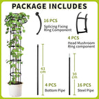 Umbrella Trellis Wisteria Support Frame Rustproof (2 Pack)