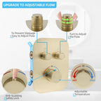 Upgraded Thermostatic Shower System with 10" Rain Head