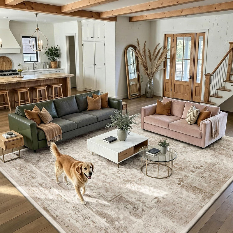 Vintage Area Rugs Living Room