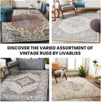 Vintage Rug Runner Rugs Living Room