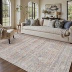Vintage Rugs Living Room