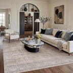 Vintage Rugs Living Room