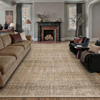 Vintage Rugs Living Room