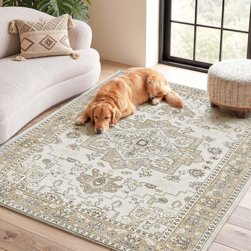 Vintage Rugs Living Room Large Soft Cashmere