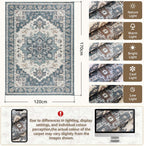 Vintage Rugs Living Room Large Soft Cashmere