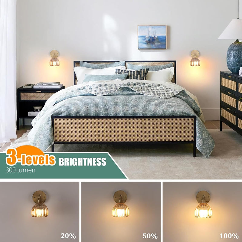 Vintage Wall Lights Lamps (Set of 2)