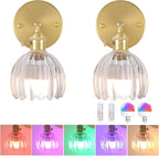 Vintage Wall Lights Lamps (Set of 2)