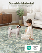 Vintage Washable Rugs for Living Room Area