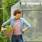 Walk-In Greenhouse 4 Window Bench Stool Display Racks