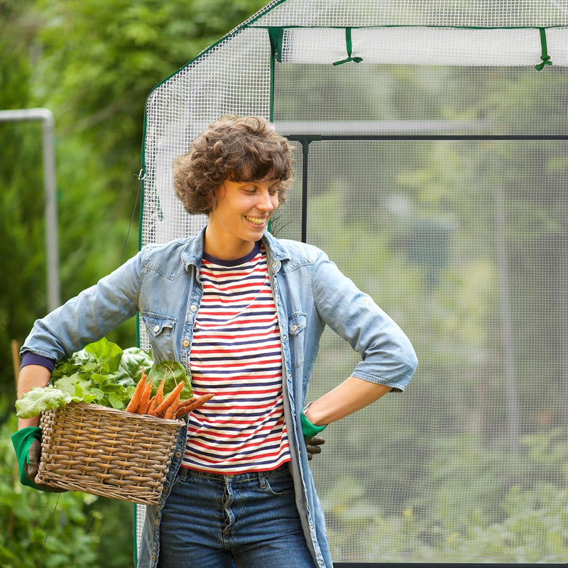 Walk-In Greenhouse 4 Window Bench Stool Display Racks