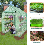 Walk in Greenhouse with Shelves Plastic Growhouse Frame