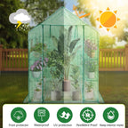 Walk in Greenhouse with Shelves Plastic Growhouse Frame