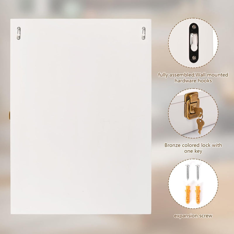Wall Display Cabinet Lockable with Acrylic Door 49