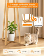 Walnut Floor Lamp with Crossed Square Wooden Base