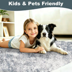 Washable 5'x7' Area Rug for Living Room