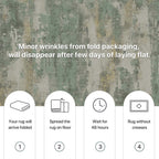 Washable Abstract Rug Non Slip Carpet Living