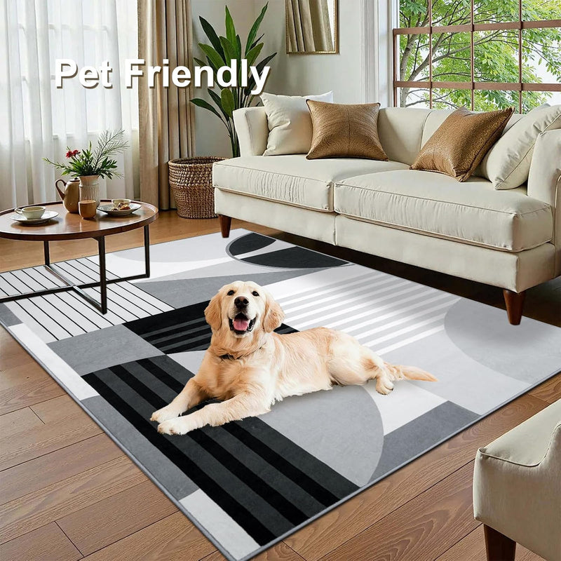 Washable Area Rug