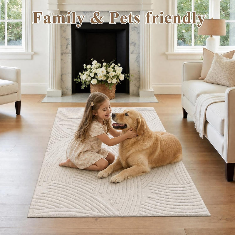 Washable Area Rug for Living Room