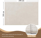 Washable Area Rug for Living Room