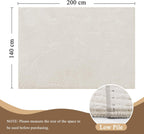 Washable Area Rug for Living Room