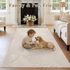 Washable Area Rug for Living Room