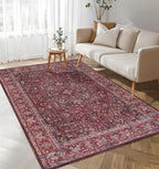 Washable Area Rug for Living Room