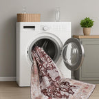 Washable Area Rug for Living Room