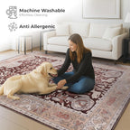 Washable Area Rug for Living Room