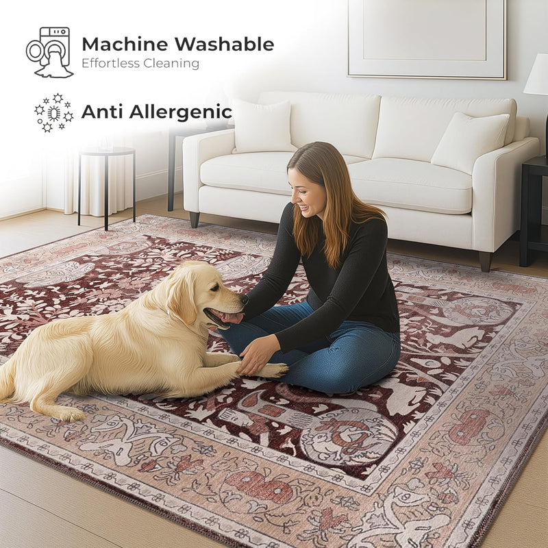 Washable Area Rug for Living Room