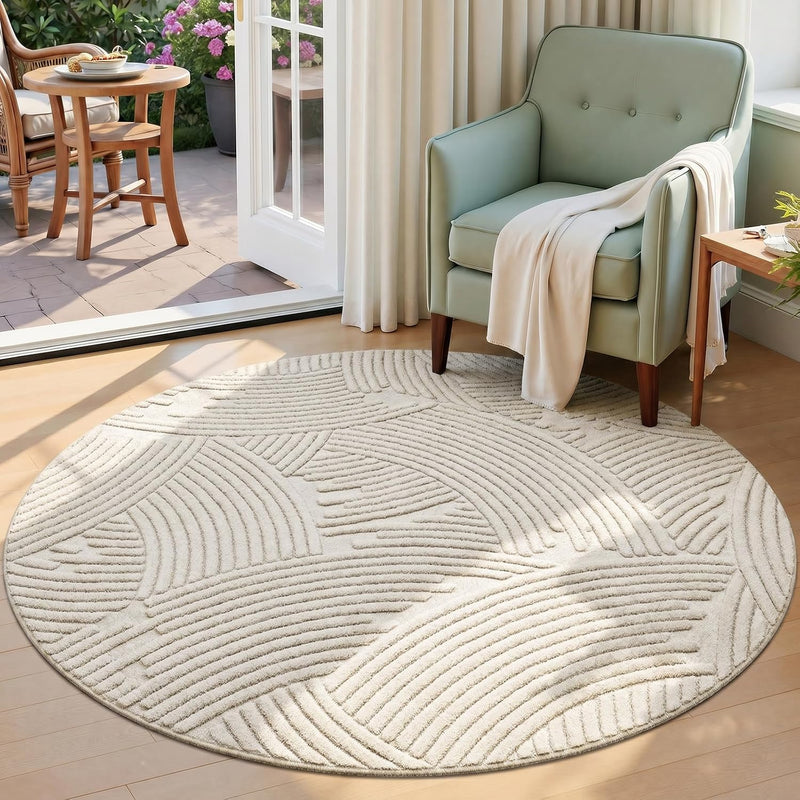 Washable Area Rug for Living Room