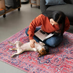 Washable Area Rug for Living Room