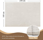 Washable Area Rug for Living Room