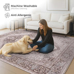 Washable Area Rug for Living Room