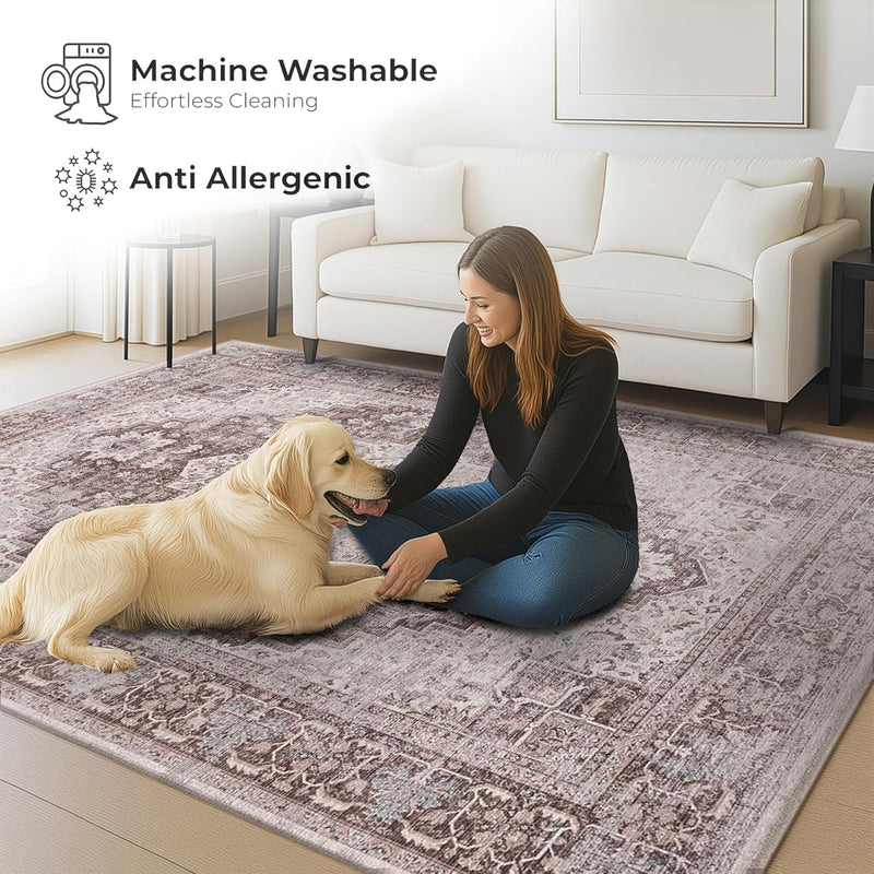 Washable Area Rug for Living Room
