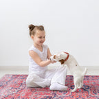 Washable Area Rug for Living Room