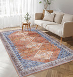 Washable Area Rug for Living Room
