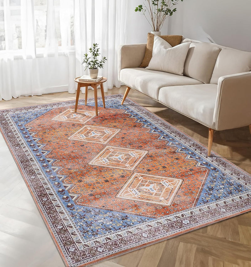Washable Area Rug for Living Room