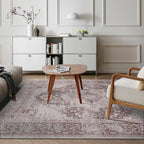Washable Area Rug for Living Room