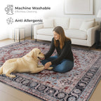 Washable Area Rug for Living Room