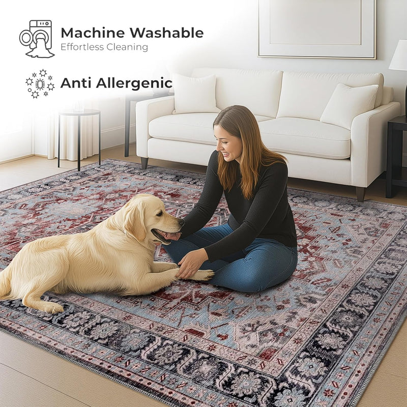 Washable Area Rug for Living Room