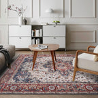 Washable Area Rug for Living Room