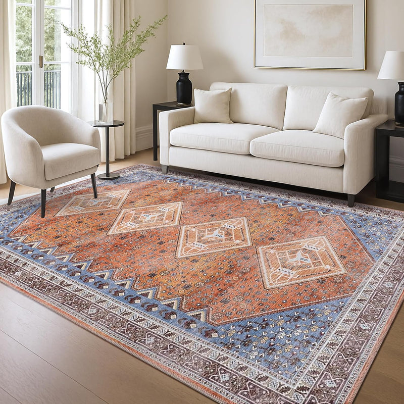 Washable Area Rug for Living Room
