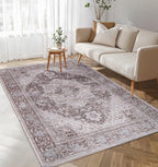 Washable Area Rug for Living Room